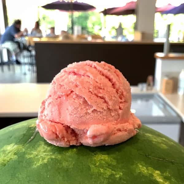 Watermelon Sorbet