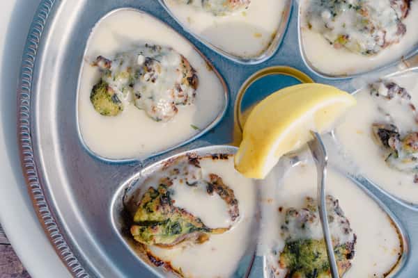 Oysters
