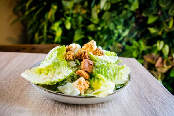 House Caesar*