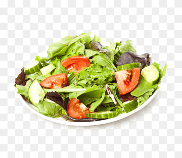 Garden Salad