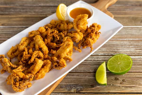 Fried Calamari