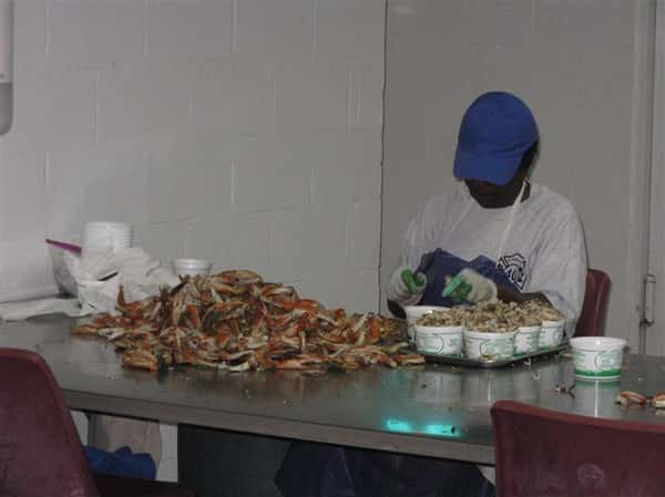 Chef preparing crab legs