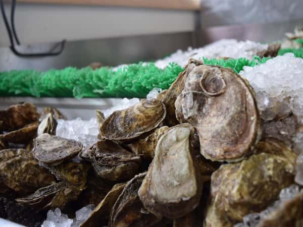 Prince Edward Island Oysters