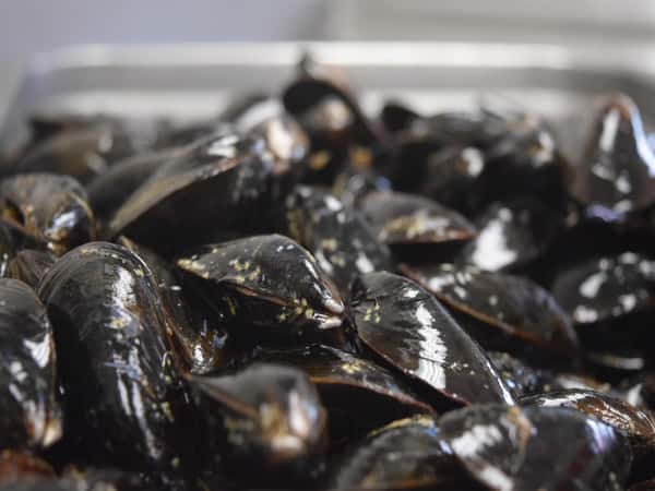 Prince Edward Island Mussels