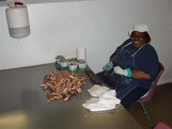 A Woman preparing crab legs