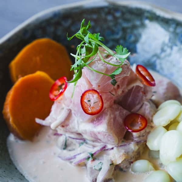 CEVICHE CATCH OF THE DAY