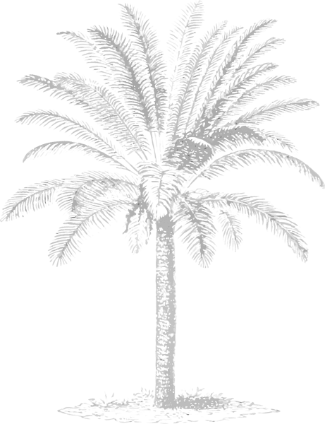 illustrated tree