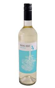 House Pinot Grigio