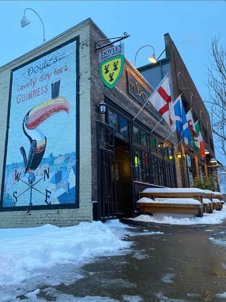 Doyles in the snow