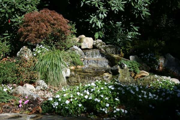 Water Features