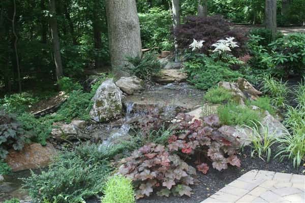Water Features