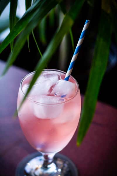 Hibiscus Breeze Spritzer