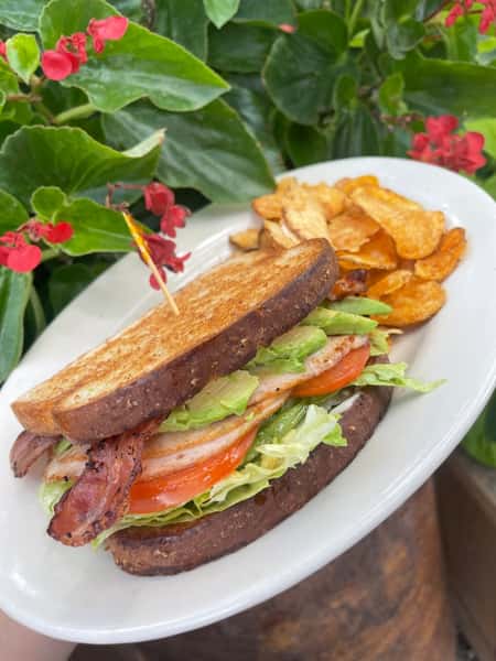 Bacon Turkey Avocado