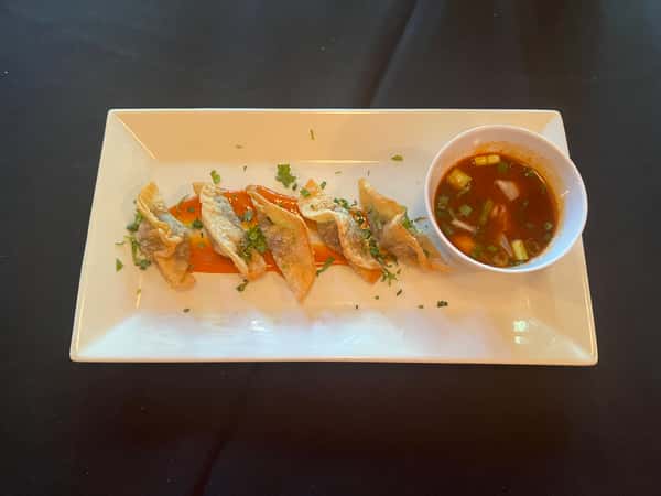 Birria Dumplings