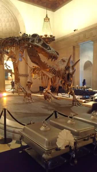 Natural History Museum