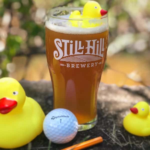 Hop Brook Duck Hook