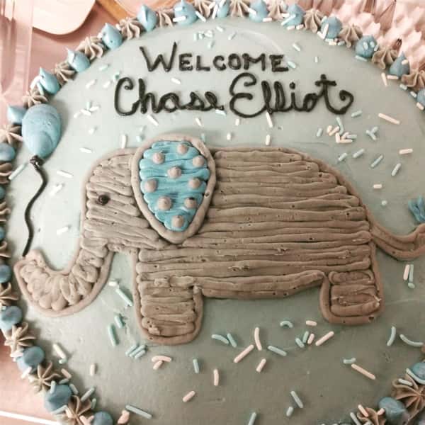 Elephant