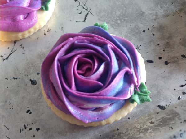 Two tone Rose
