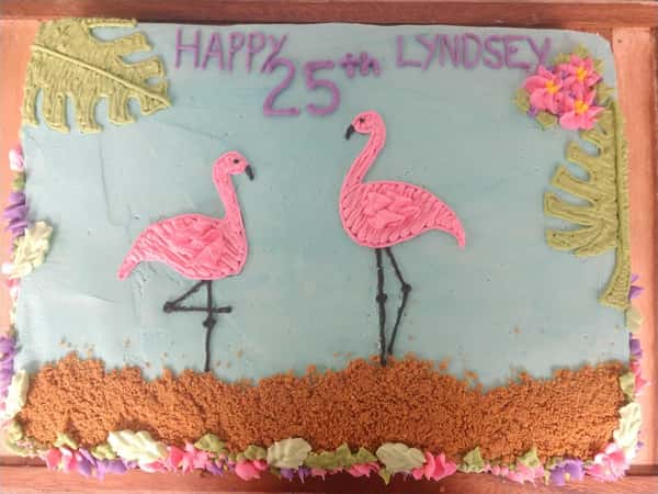 flamingo
