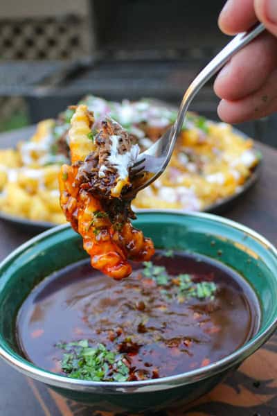 Birria Fries