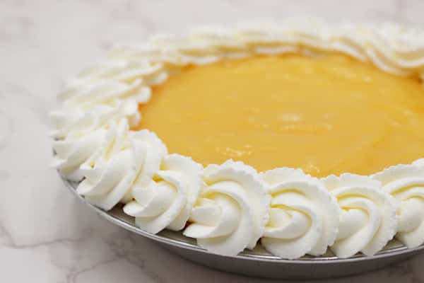 Lemon Cheesecake