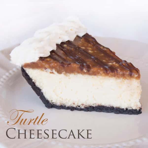 Turtle Cheesecake