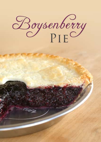 Boysenberry Pie