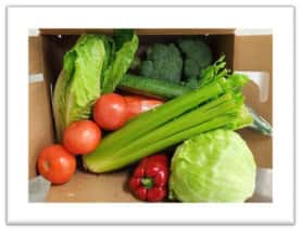 VEGETABLE BOX - 10LB.