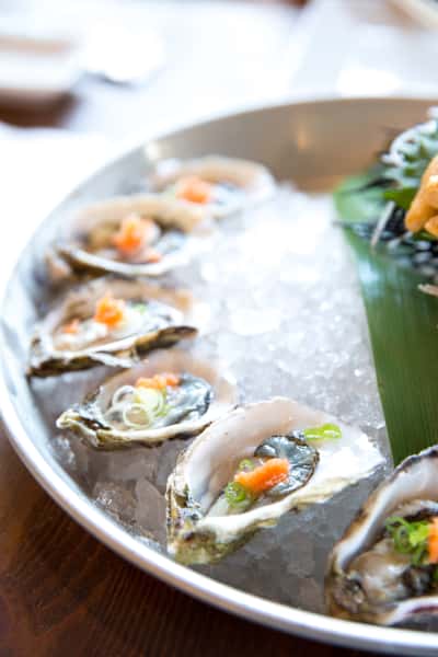 oysters