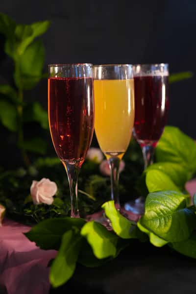 Mimosa