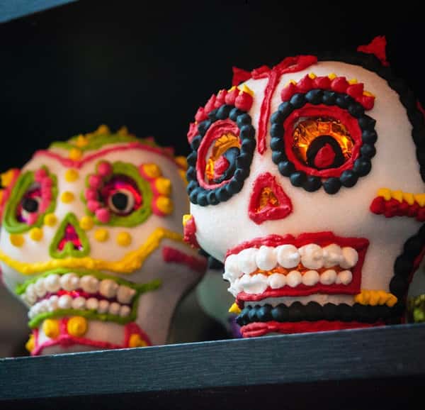 Bone cantina