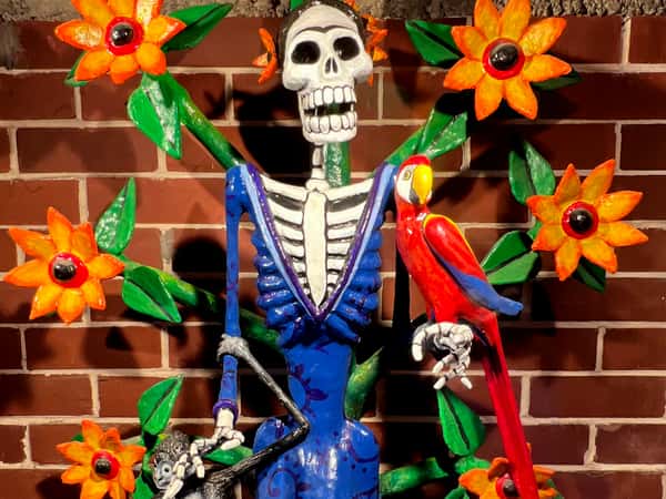 Bone cantina