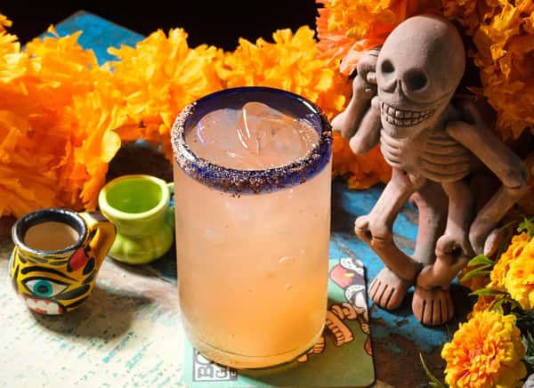 Paloma No. 7