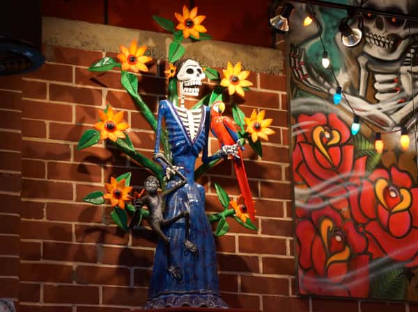 Look up and say hello to our Frida.