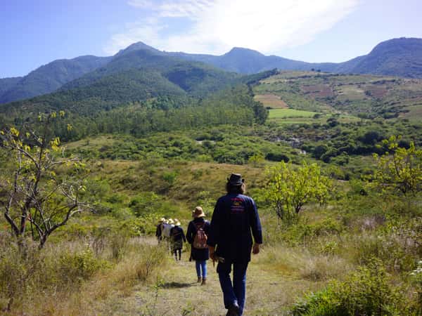 Hiking to an agave field in the mountains of Oaxaca, MX.