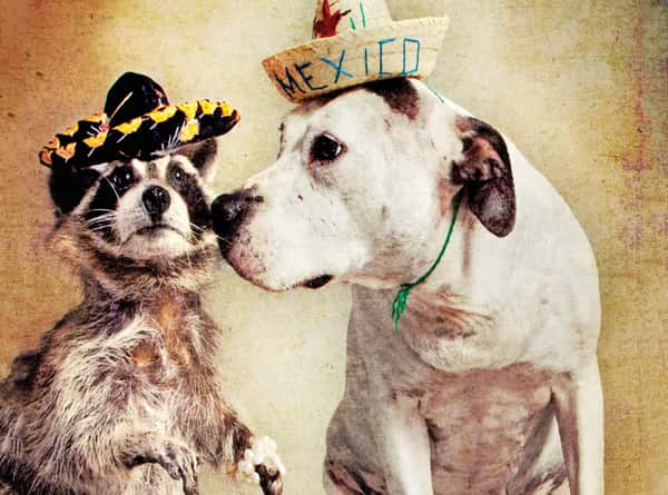 Make new friends at Bone Garden Cantina!