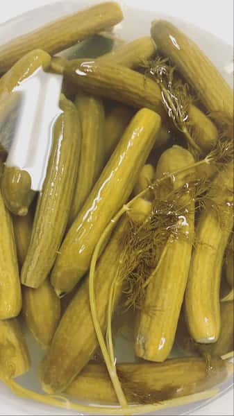 Kosher Style Garlic Dill Pickles