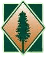 Sequoia tree favicon