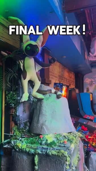 šØ FINAL WEEK! šØ Donāt miss your last chance to experience our Avatar pop-up at Replay! ššŖØš„šØ Weāve got DJs, FREE arcade games, vendors, & events happening ALL WEEK long to celebrate our last week in the Four Nations. š
21+, NO COVER, open 7 days a week. Yip-yip, see you there! āØ
#replaylincolnpark #avatarthelastairbender #atla #chicago #chicagoevents