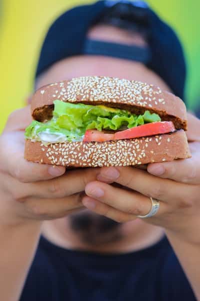 Avocado Sandwich. Vegan