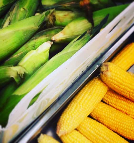 Fresh sweet corn.