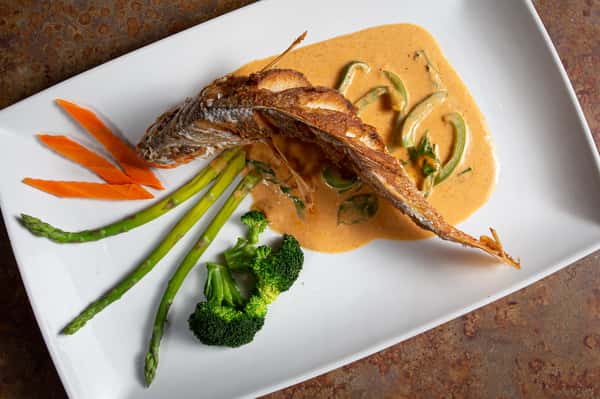 Red Snapper