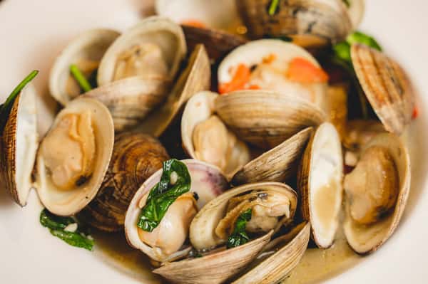steamed clams