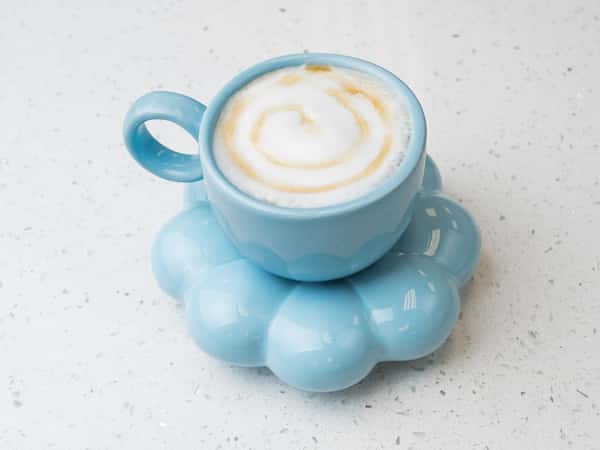 CAPPUCCINO ( HOT)