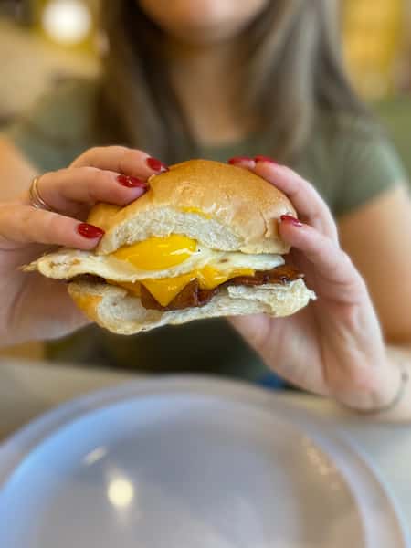 The Daily Sandwich