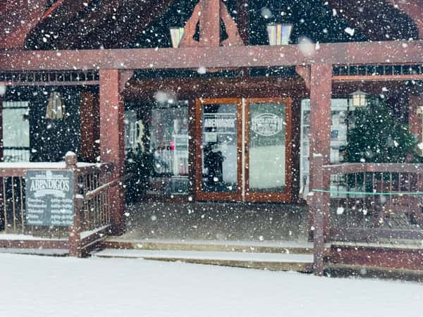 Front door snow