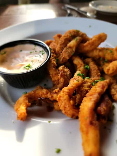 Fried Calamari