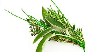 Neapolitan Herb