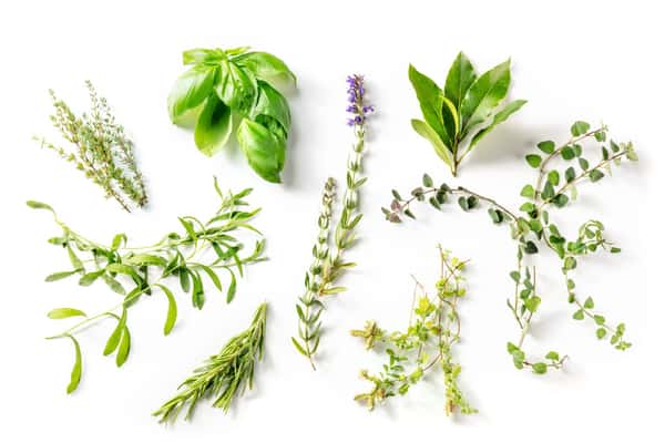 Herbs De Provence Olive Oil