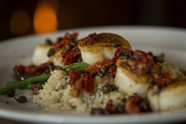 Close up of the Pan Seared Scallops with sundried tomatoes, garlic, capers, basil and kalamata olives served with rice pilaf.